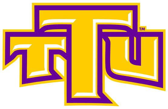 Tennessee Tech Golden Eagles 2006-Pres Alternate Logo v2 iron on transfers for fabric